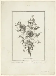 Bouquet d