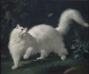 Chat angora poursuivant un papillon, v. 1760