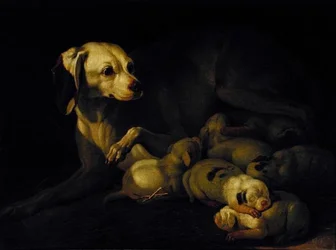 La chienne allaitant ses chiots (détail)