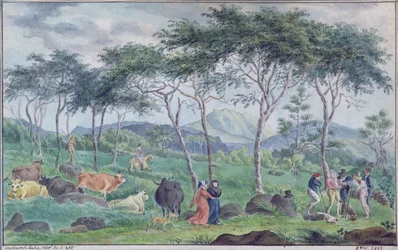 Troupeau de bovins avec des vachers près de la rivière à l