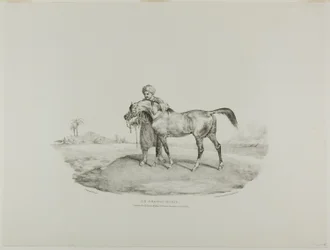 Un cheval arabe, planche 8 de divers sujets dessinés d