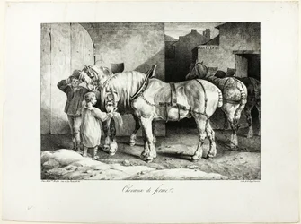 Chevaux de ferme