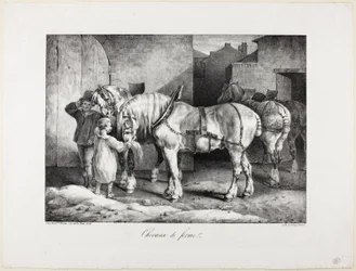 Chevaux de ferme