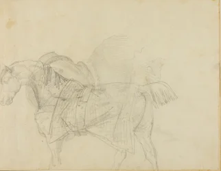 Cheval portant une couverture