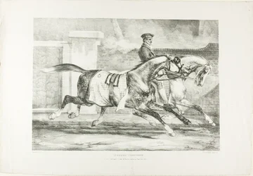 Chevaux à l