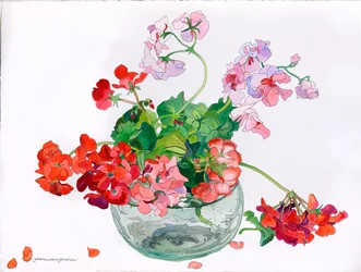 Geraniums at Ease in Glass Bowl (aquarelle et encre sur papier)