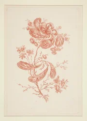 Sans titre (Fleurs idéales), d