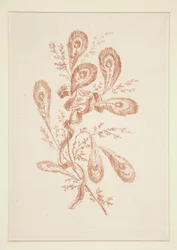 Sans titre (Fleurs idéales), d
