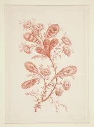 Sans titre (Fleurs Idéales), d