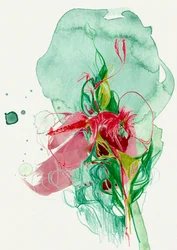 Fleur abstraite aux couleurs vives