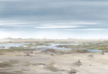 Paysage de marais brumeux