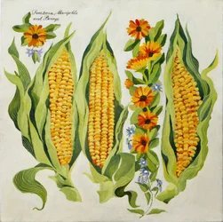 Fleurs de maïs et de courge, 2014 (acrylique sur toile)
