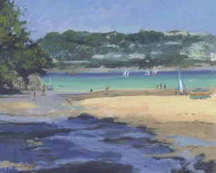 Salcombe Millbay matin