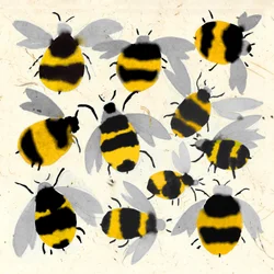 Abeilles encreuses, 2022