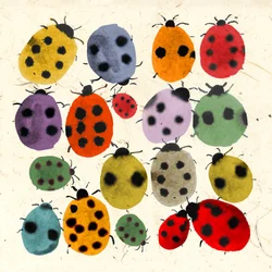 Coccinelles encreuses, 2022