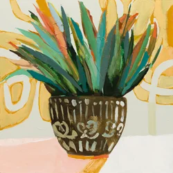 Fougère en pot