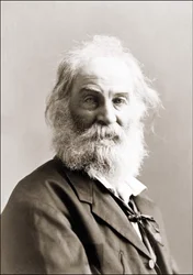 Portrait de Walt Whitman (1819 - 1892) par Gurney entre 1880 et 1890