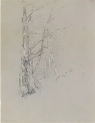 Ruisseau sec, 1888