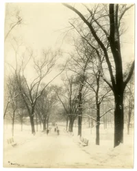 The Common, Boston, USA, vers 1902-10