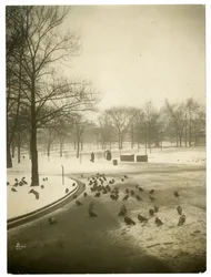 Un froid inhabituel dans le Common, Boston, USA, vers 1902-10