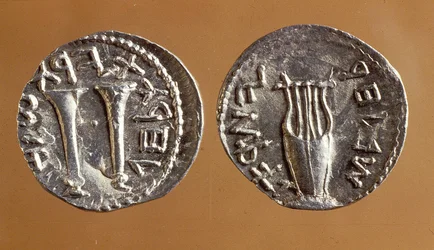 Pièces de monnaie de la révolte de Bar Kochba, 134-135