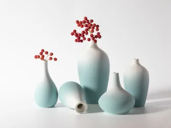 Vases bleus aux baies rouges