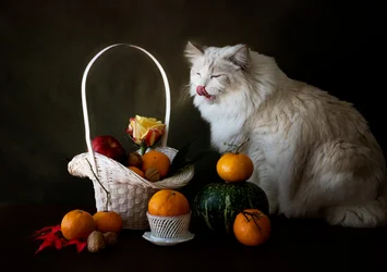 Nature morte aux fruits d