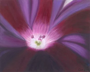 Éclat de fleurs violettes