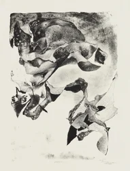 Visitation
