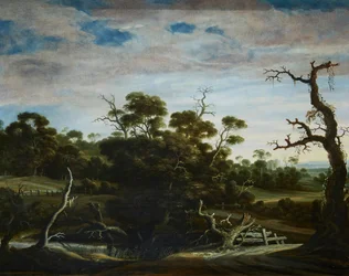 Paysage vallonné avec des arbres