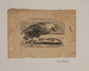Un aigle