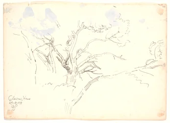 Études de branches. Jardin de Classen