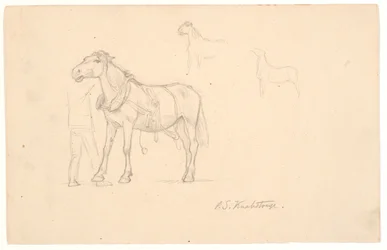 Trois études d