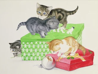 Quatre chatons