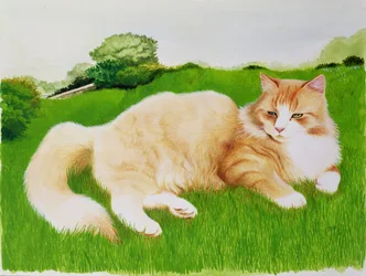 Chat roux dans un champ