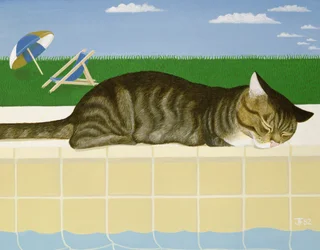 Chat tigré près d
