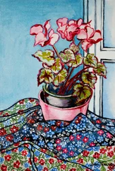 Cyclamen avec tissus à motifs