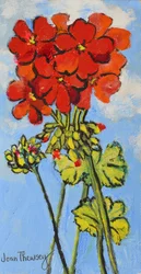 Branche de géranium, 2017