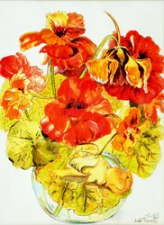 Capucines