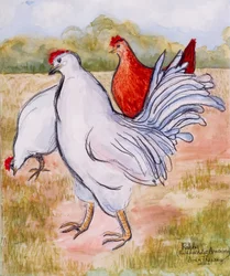 Ralphy, le coq, 2005