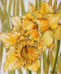 Deux Jonquilles, 2001