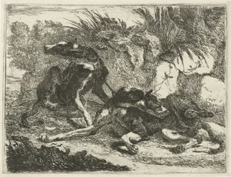 Deux chiens