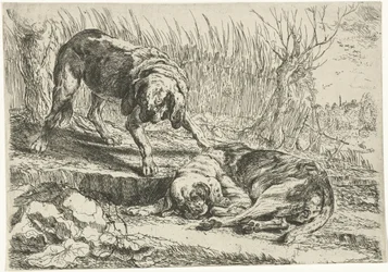 Deux chiens Honden (titre de la série)