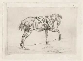 Cheval sellé