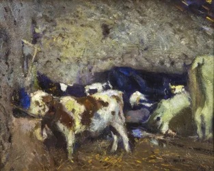 Vaches