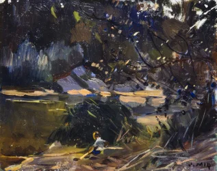 Sous-bois