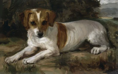 Chien