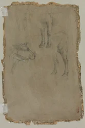 Études d