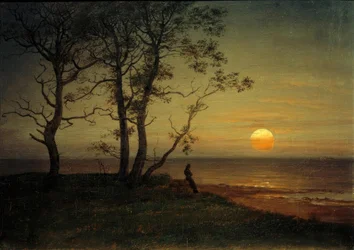 Rivage marin au clair de lune