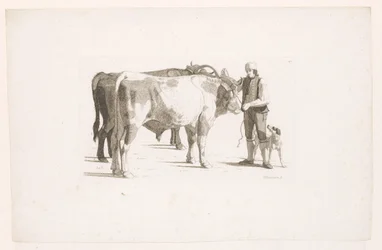 Homme et un chien à côté de deux bœufs avec un joug